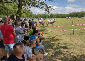 Održana „Dolovačka fijakerijada“