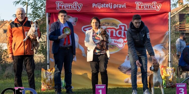 Skoro 100 rasa pasa na 28. CAC derbiju u Debeljači