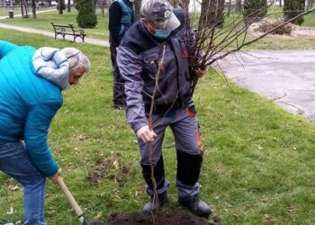 ZELENA AKCIJA: 73 nove sadnice u Idvoru