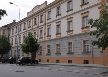 Istorija vinogradarstva u Pančevu