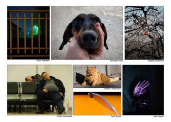 Izložba fotografija članova Foto kluba Doma omladine Pančevo