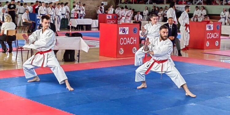 “Sportsko leto” u Kovinu: Veče borilačkih veština 10. juna