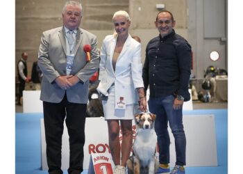 Veliki uspeh odgajivača Željka Novakova iz Opova