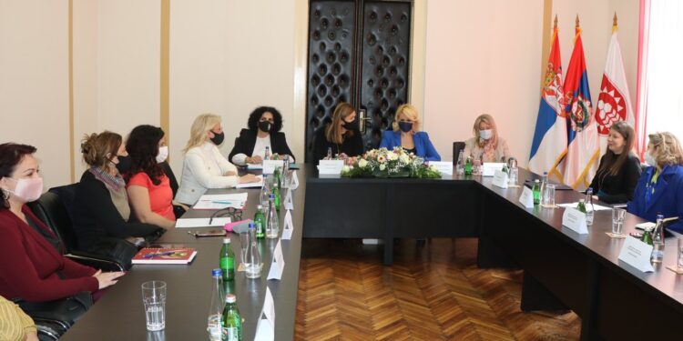 Kisić Tepavčević sa direktorkama osam centara za socijalni rad sa teritorije Južnog Banata