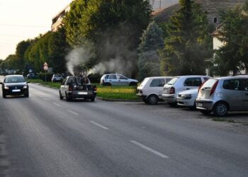 KOVIN: Akcija suzbijanja komaraca u sredu 9. juna