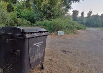 Postavljen kontejner na Glavnoj plaži u Opovu