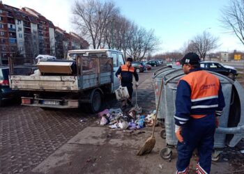 Uprkos apelima pojedini građani Pančeva i dalje otpad bacaju pored kontejnera