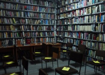 Bioskop i biblioteka u Kovinu zatvoreni