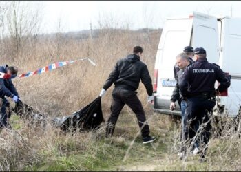 Pronađen izujedan leš kod Azotarinog kanala