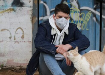 NAUČNICI: Mačke mogu da se zaraze, psi nisu osetljivi na koronu?