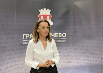 Vitman: Radovi u Moše Pijade i na kružnom toku gotovi do 28. avgusta