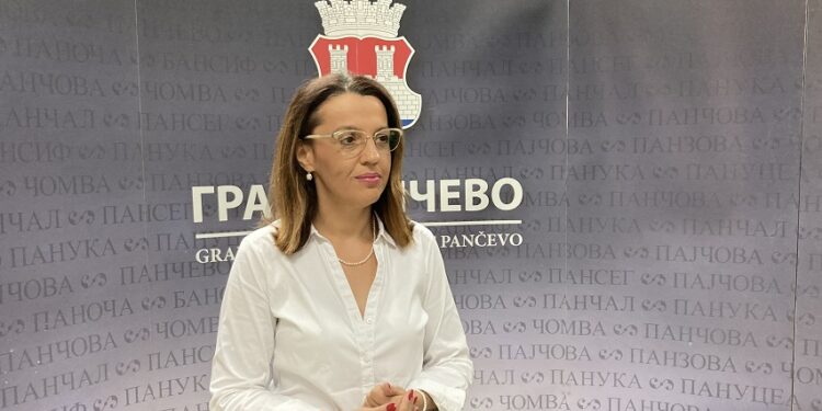 Vitman: Radovi u Moše Pijade i na kružnom toku gotovi do 28. avgusta