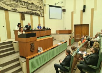 Skupština grada Pančeva usvojila Plan razvoja grada Pančeva 2022 – 2028