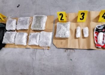 Pančevačka policija zaplenila 4.5 kilograma marihuane, ekstazi i amfetamin