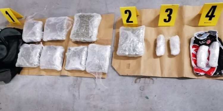 Pančevačka policija zaplenila 4.5 kilograma marihuane, ekstazi i amfetamin