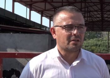 NEDIMOVIĆ: Novi podsticaji za tovno govedarstvo