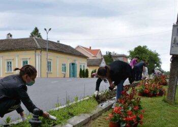 Posađeno 80 sadnica cveća pred Dan Opštine Opovo