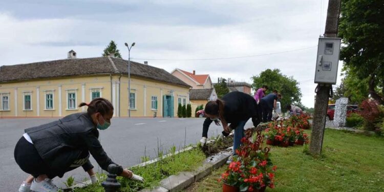 Posađeno 80 sadnica cveća pred Dan Opštine Opovo