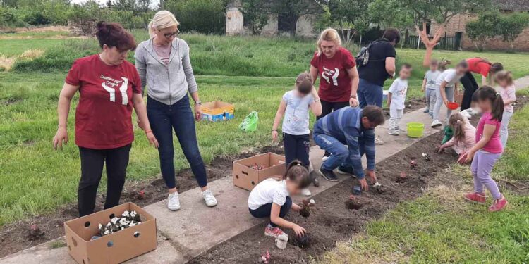 OPOVO: Udruženje Zlatne ruke sadilo cveće duž pešačke staze
