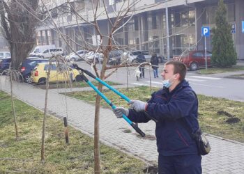 JKP „ZELENILO“: Sezona sadnje u jeku