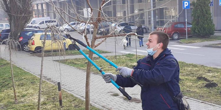 JKP „ZELENILO“: Sezona sadnje u jeku