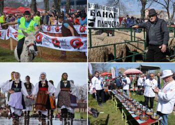 Ovčarski dan u Sakulama 1. aprila
