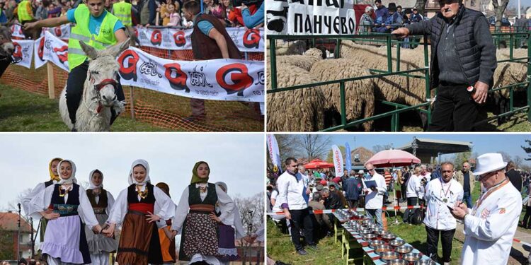 Ovčarski dan u Sakulama 1. aprila