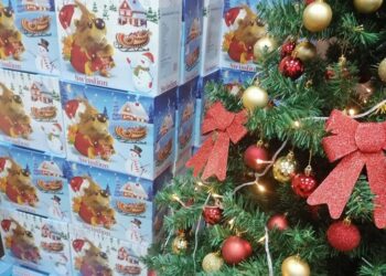 Novogodišnji paketići uručeni deci Glogonja, Kačareva, Banatskog Brestovca…