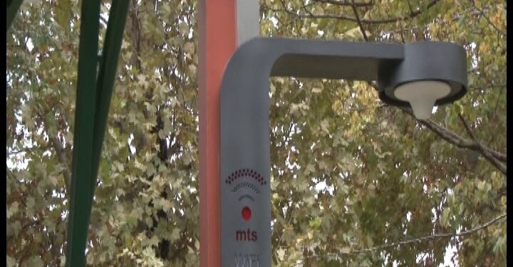 Alibunar dobio „pametno drvo“