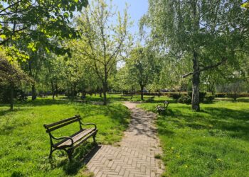 Pančevo: očekuje se porast polena koprive i ambrozije