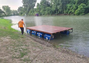 Na Tamišu u Glogonju postavljen ponton za kupače