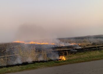 Gori strnište između Alibunara i Plandišta