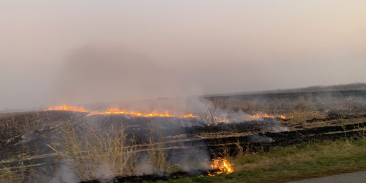 Gori strnište između Alibunara i Plandišta