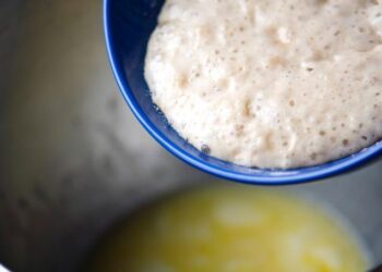 Novoseljanke nude recept za domaći kvasac