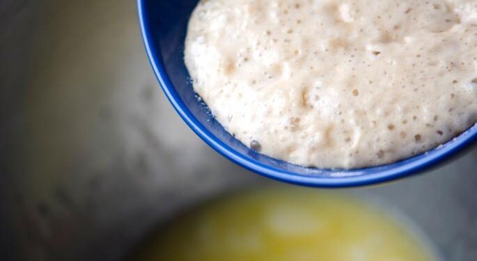 Novoseljanke nude recept za domaći kvasac