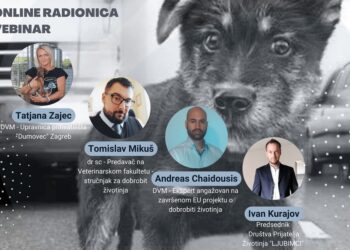 Radionica o održivom rešenju u upravljanju populacijom pasa