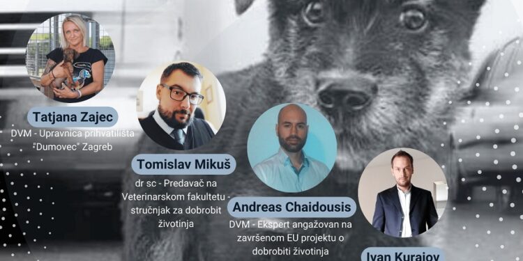 Radionica o održivom rešenju u upravljanju populacijom pasa
