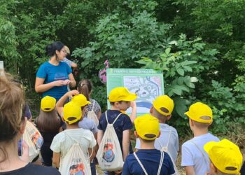 Festival Reconnect održan u Gradskoj šumi u Pančevu