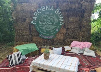 Pančevo: Reconnect festival za osnaživanje veze ljudi i prirode