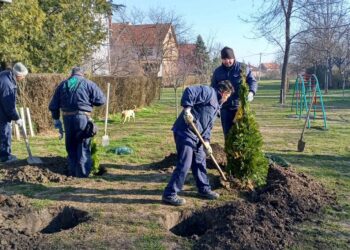 JKP Zelenilo nastavlja sadnju na više lokacija