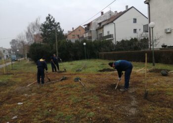 Nastavlja se sadnja u Pančevu