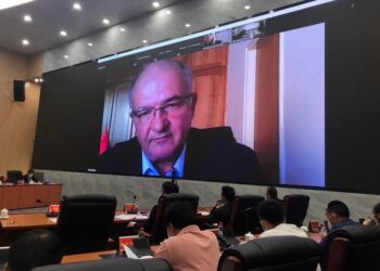 Održan vebinar zbratimljenih i prijateljskih gradova Donguana 2021