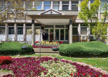 Pančevac oglašen krivim novčana kazna i zabrana vršenja dužnosti direktora zbog poreske prevare