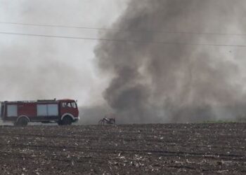 Požar u ataru pored puta Opovo – Debeljača