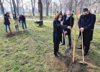 PANČEVO: Akcijom sadnje u Vojlovici obeležen prvi dan proleća