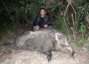 Pančevac Radoš Burić ustrelio kapitalca u Pančevačkom ritu