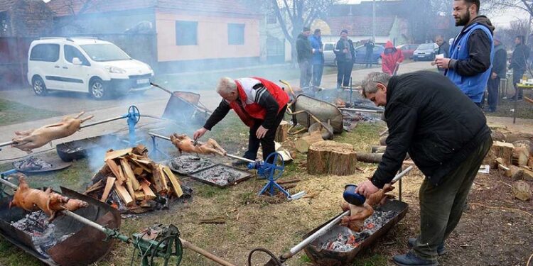 Božićna pečenica u opovačkom Kertizu