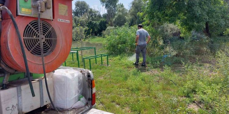 Sprovedena akcija suzbijanja ambrozije u Jabuci
