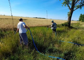 Zalivanje drvoreda na putu ka Kovačici