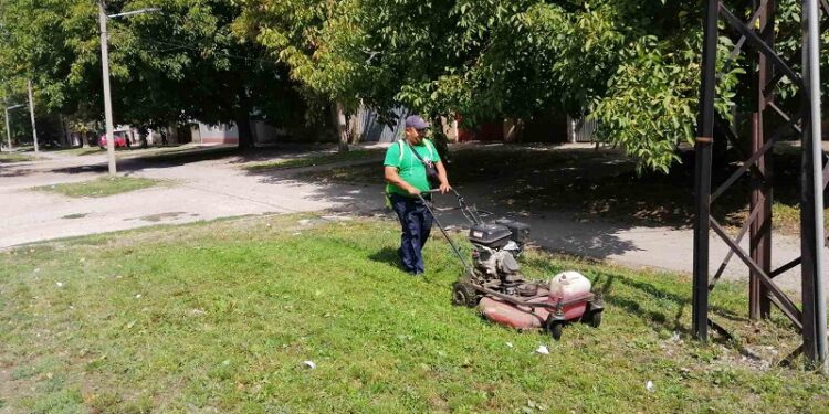 Radnici JKP “Zelenilo”, posle Sodare i Tesle započinju košenje na novim lokacijama